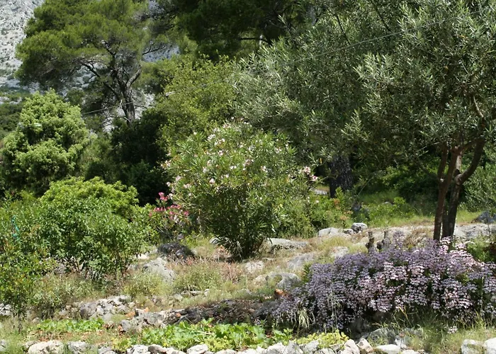 Apartamento With Parking Space Orebic, Peljesac - 4588 *