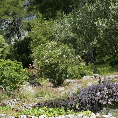 Apartamento With Parking Space Orebic, Peljesac - 4588 *