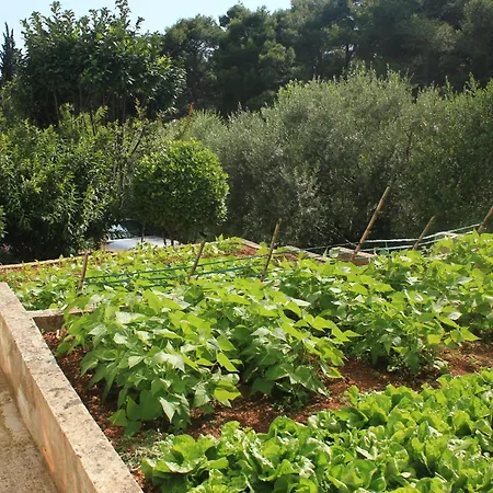 Appartement With Parking Space Orebic, Peljesac - 4588