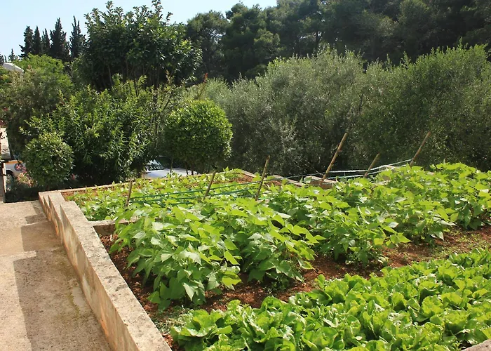 Appartamento With Parking Space Orebic, Peljesac - 4588